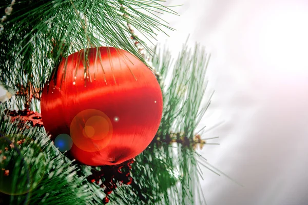 Red Ball New Year Fur Tree Close Copy Space — Stock Photo, Image