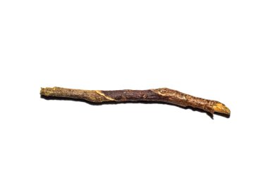 İzole, beyaz bir arka planda, makro fotoğraf kahverengi şube