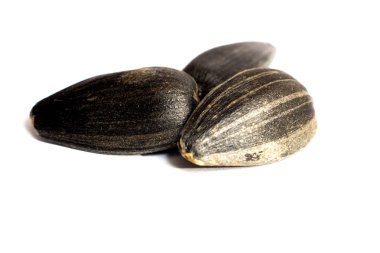 Ayçekirdeği izole bir beyaz arka plan closeup, Tarih