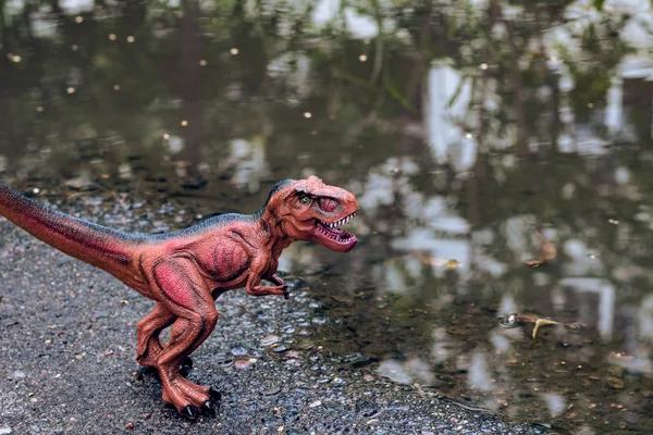 Tiranosaurio cerca del agua en el bosque —  Fotos de Stock