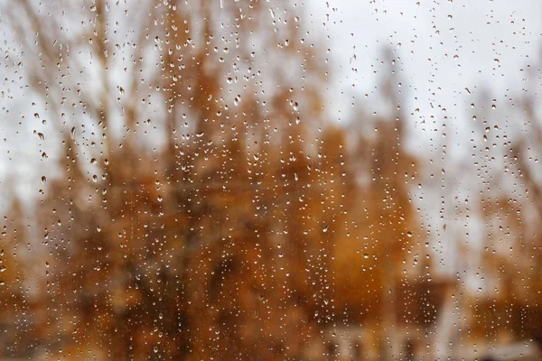 Gotas Chuva Vidro Contra Fundo Árvores Amarelas Outono — Fotografia de Stock