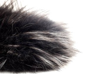 Beyaz arkaplanda siyah ve gri kürk