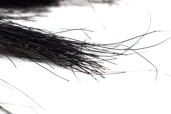 Кінці Чорного Волосся Ізольовані Білому Тлі — стокове фото