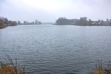 Sarı çalılar ve çim kıyısında göl