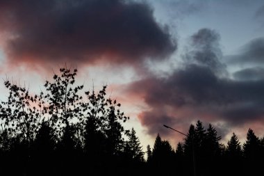 Günbatımı ve ağaç tepelerinin gölgede koyu kırmızı bulutlar