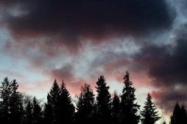 Günbatımı ve ağaç tepelerinin gölgede koyu kırmızı bulutlar