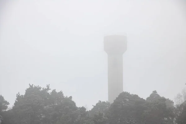 Tops Árvores Torre Nevoeiro Com Espaço Cópia — Fotografia de Stock