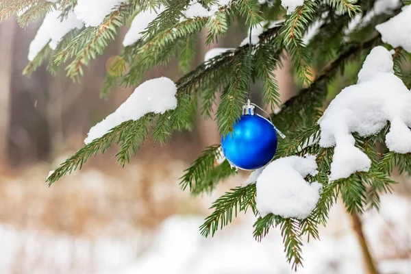 Kék karácsonyi bál hóval fenyő ága — Stock Fotó