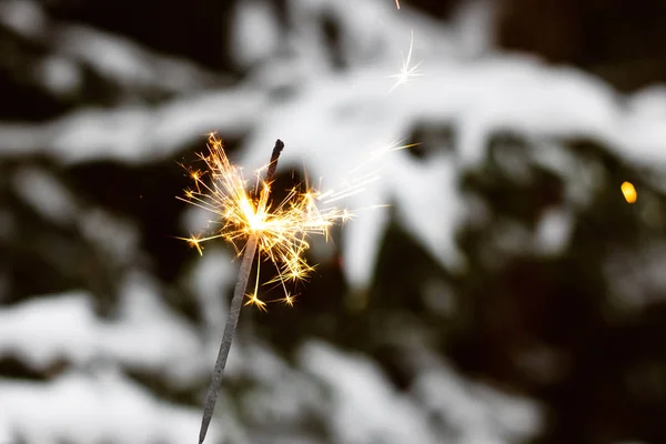 Brilha ardente contra um fundo de abeto com neve — Fotografia de Stock