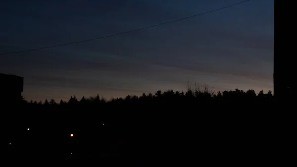黄色市木 深い影 背景の夕日 — ストック写真