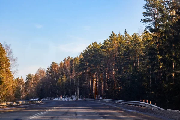 Het Weg Winter Forest Met Gele Bomen Zonnige Landschap — Stockfoto