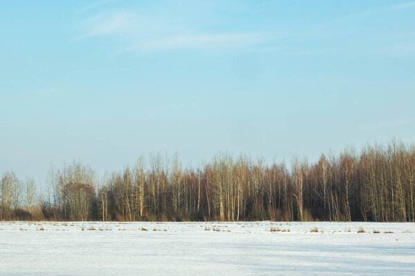 Зимой солнечный пейзаж, поле и лес, снег тает ранней весной
