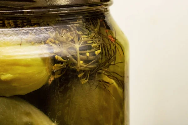 Pepino Escabeche Tallo Hinojo Frasco Sobre Fondo Gris — Foto de Stock