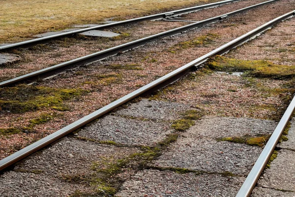 Szyn tramwajowych gąsienic z bliska z trawy — Zdjęcie stockowe