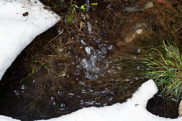 Gotas em uma poça, grama e neve — Fotografia de Stock