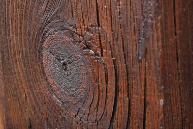 Parlak ahşap dokusunun güzel büyük bir görüntüsü.