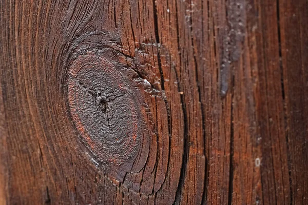 Гарне велике зображення полірованої текстури деревини — стокове фото