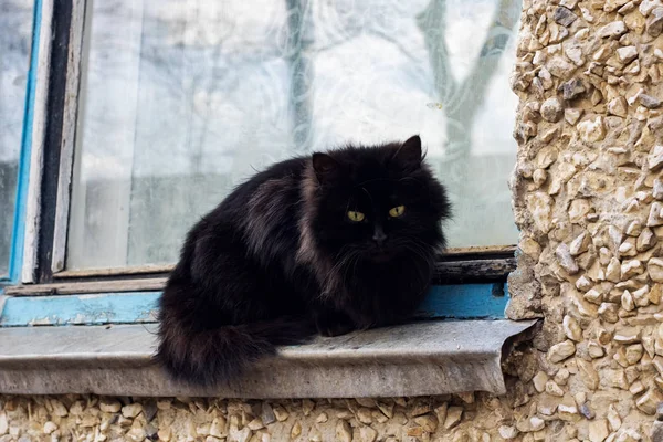 Gatto nero seduto sul davanzale della finestra sulla strada — Foto Stock