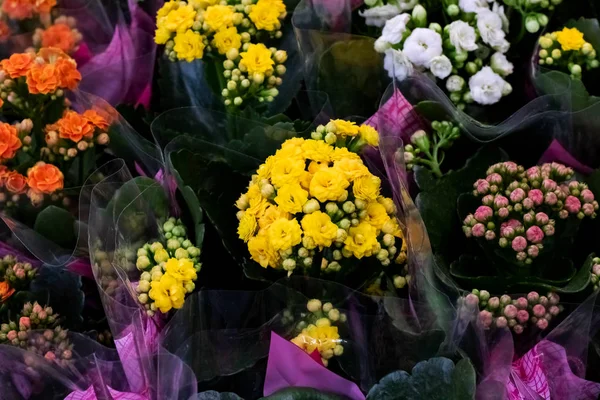 Fiori multicolori colorati in mazzi di fiori primo piano, sfondo — Foto Stock