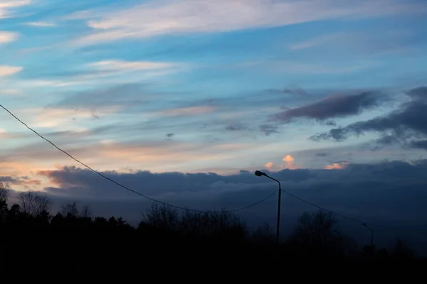 Céu rosa e nuvens ao pôr do sol e silhuetas de árvores — Fotografia de Stock