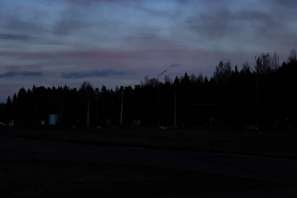 Cielo rosado y nubes al atardecer y siluetas de árboles — Foto de Stock