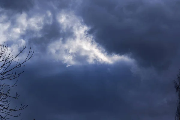 Mörkblå himmel med glimtar av ljus och träd grenar — Stockfoto