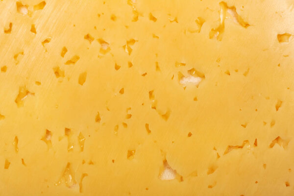 Holes in yellow cheese, background or texture