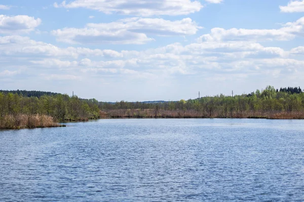 Зеленые деревья у озера и голубое облачное небо — стоковое фото