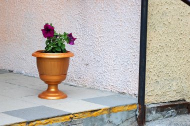 Evin etrafında büyük bir kahverengi saksı pembe çiçekler yakın