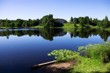 Yeşil ağaçlar ve ormandaki bitki örtüsüyle rıhtım, yaz manzarası