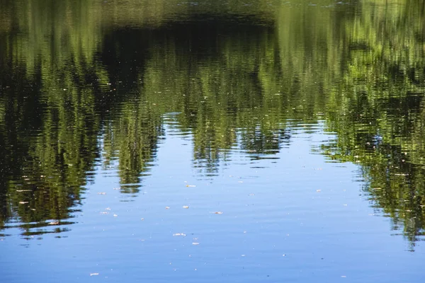 Reflejo Árboles Verdes Superficie Del Agua Fondo —  Fotos de Stock