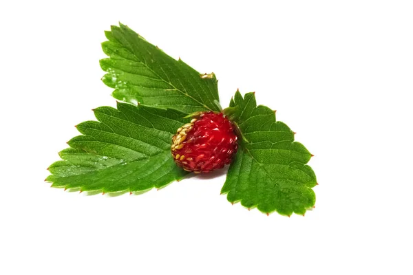 Röd jordgubbs bär med gröna blad, isolerade på vit bakgrund — Stockfoto