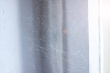 Gri arka plandaki beyaz örümcek ağı yakın çekim