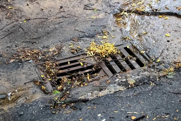 Escotilla de asfalto con hojas amarillas y agua corriente — Foto de Stock