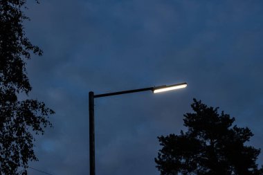 Ağaçların gölgeleri arasında beyaz fener