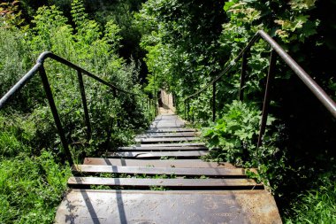 Yeşil ağaçlar arasında uzanan dik merdivenler