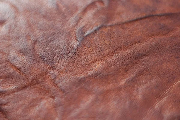 Skrynklig brunt läder konsistens närbild, bakgrund — Stockfoto
