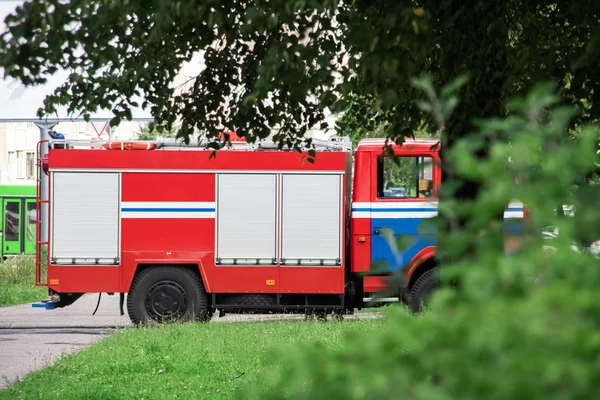 Červený požární vůz uzavelený mezi zelenými stromy — Stock fotografie