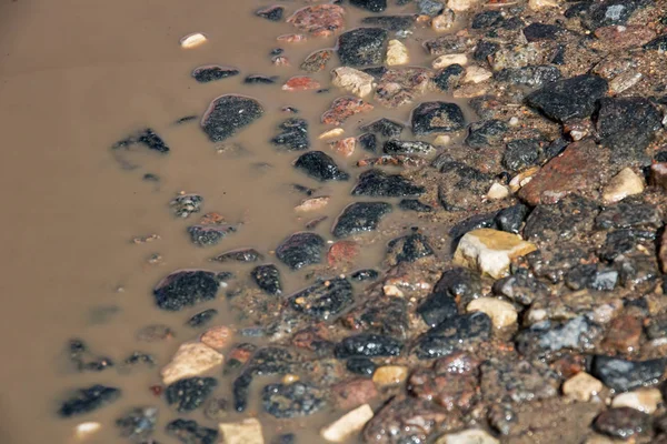 Pedras em uma poça de água suja — Fotografia de Stock