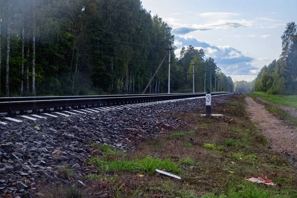 Las vías del ferrocarril van a la distancia en el bosque — Foto de Stock