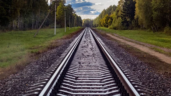 Bahngleise gehen im Wald in die Ferne — Stockfoto