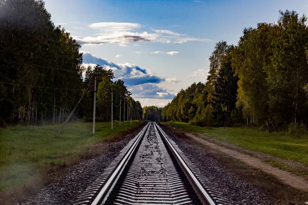 Железнодорожные пути идут вдаль в лесу — стоковое фото