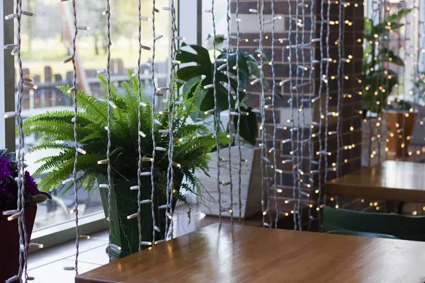 窓と窓の上の大きな植物による木製のテーブル — ストック写真