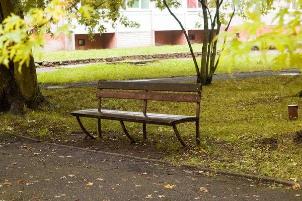 Träbänk i Park i regnet — Stockfoto
