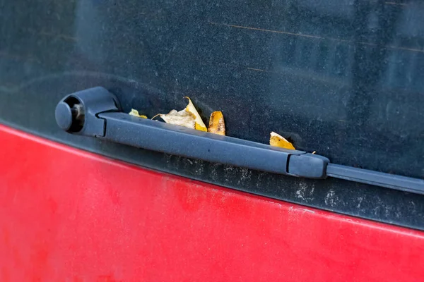 Κίτρινα φύλλα στο πίσω παράθυρο ενός αυτοκινήτου — Φωτογραφία Αρχείου