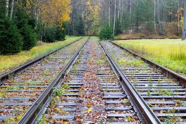 El camino del ferrocarril se adentra en la distancia — Foto de Stock