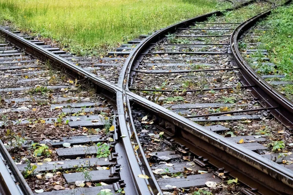 Garfo na ferrovia na floresta — Fotografia de Stock