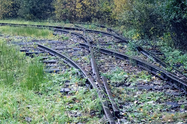 Widelec na kolei w lesie — Zdjęcie stockowe