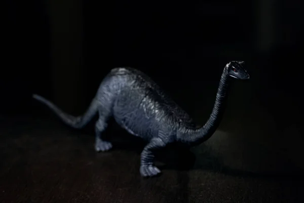Pequeño dinosaurio negro en la oscuridad, animal inexistente —  Fotos de Stock
