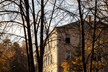 Günışığında sonbahar ağaçlarının arasında eski bir bina